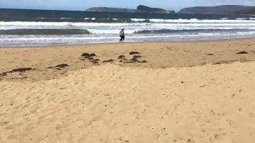 Review on Eureka Gold by Mine Lab down the beach with Tim Davies