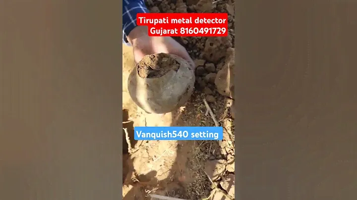 Vanquish 540 setting death setting #gold #goldmetaldetectors #treasured #detector #vlog #gujarat