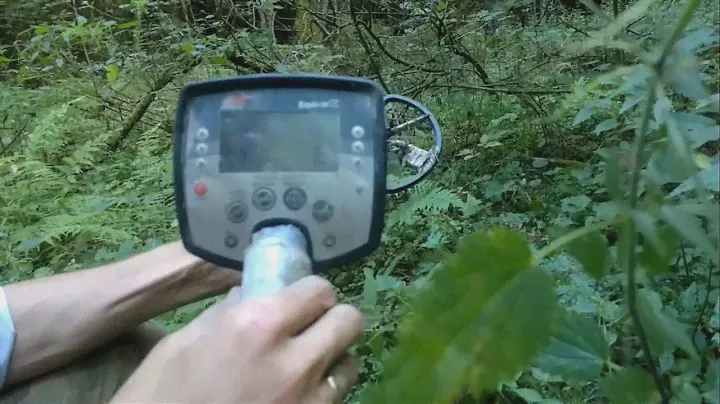 Металлоискатель Minelab Explorer SE Pro